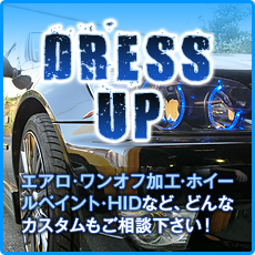 ドレスアップ