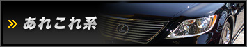 あれこれ系